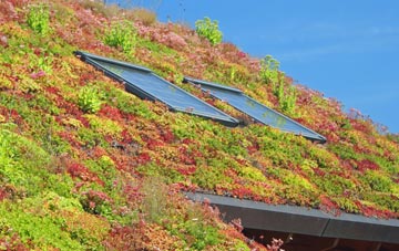 North Kiscadale living roof systems