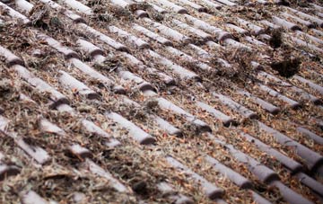 North Kiscadale roof cleaning companies